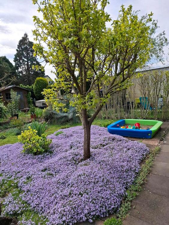 Thumbnail-Wohnhaus mit großem Garten