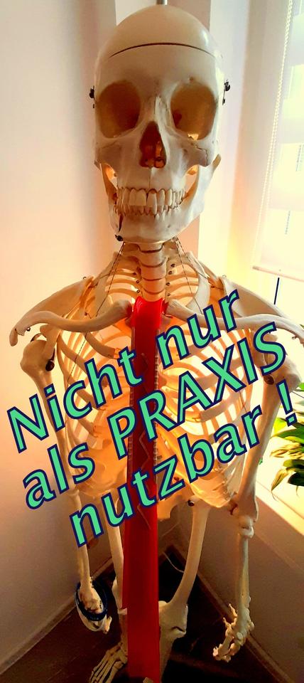 Thumbnail-PRAXIS BÜRO in City - Wüste