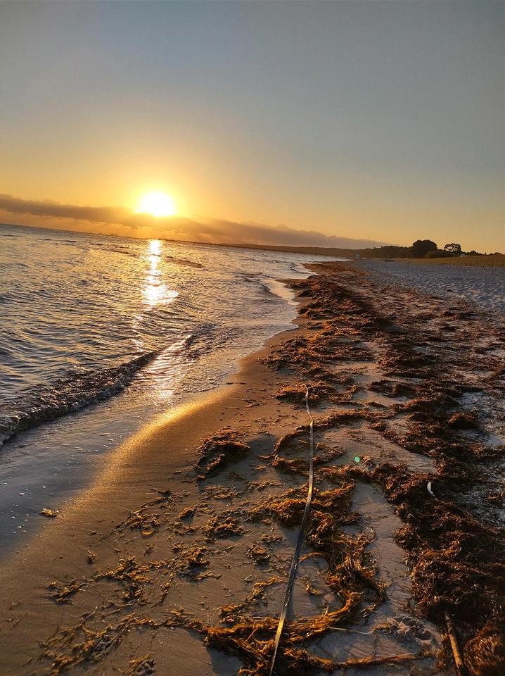 Thumbnail-Ferien mit Fellnase,Ferienwohnung Mathilda