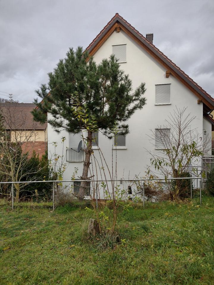 Thumbnail-Mehrfamilienhaus in Wertheim-Dertingen