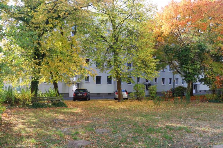 Thumbnail-3-Raum-Wohnung im Erdgeschoss mit Dusche