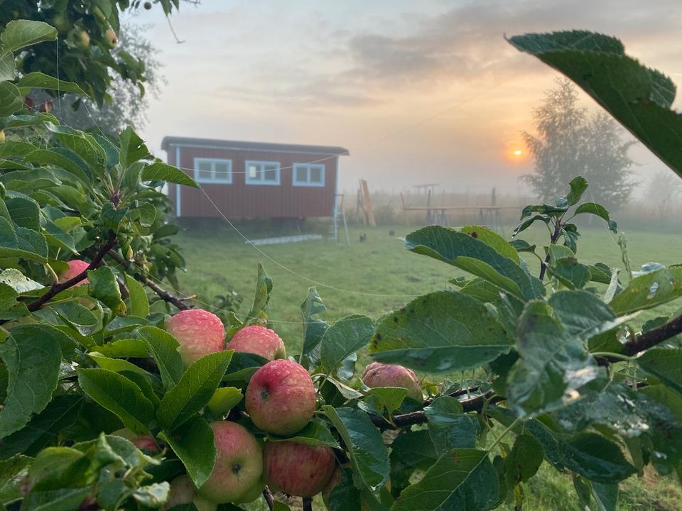 Thumbnail-Bauwagen Tiny House Ferienhaus kleines Haus Home