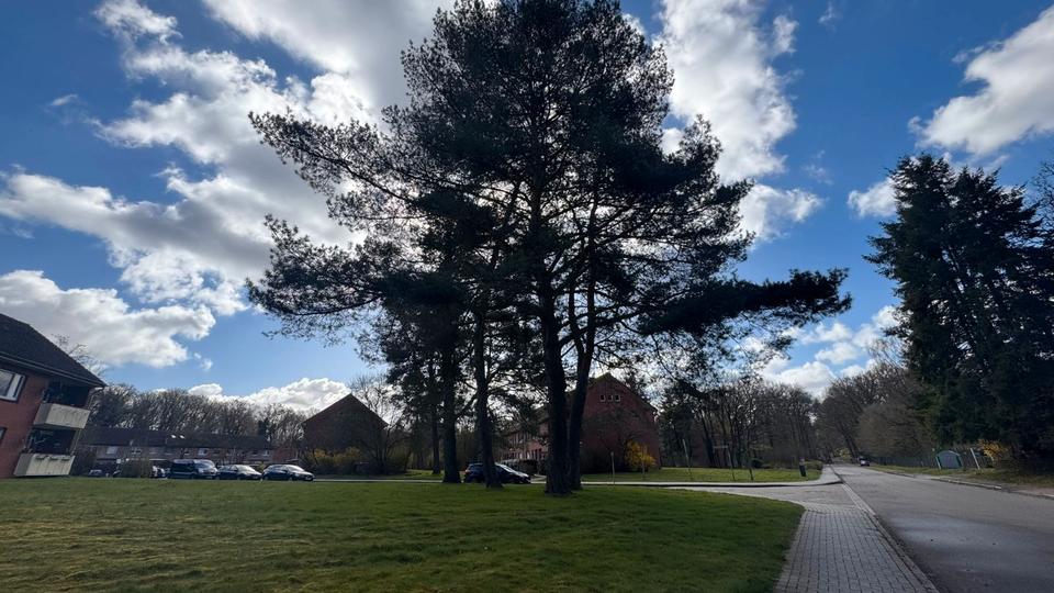 Thumbnail-3 ZKB Balkon, EBK mit Geschirrspüler, Bahnhofsnähe