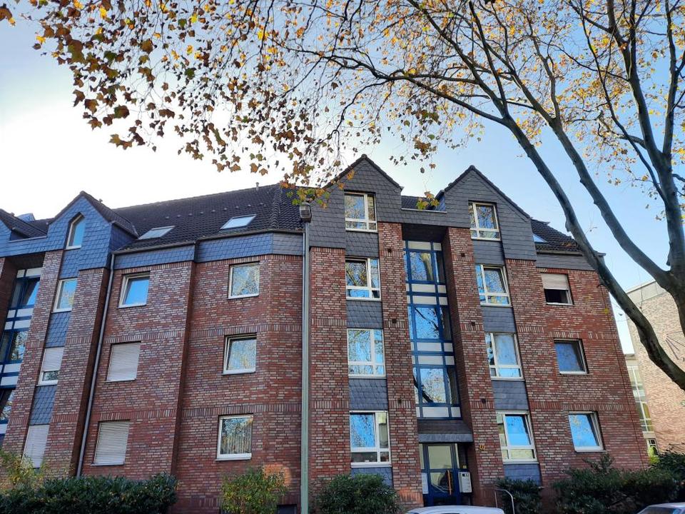 Thumbnail-Bringen Sie Ihr Herz mit, es wird sich wohlfühlen!