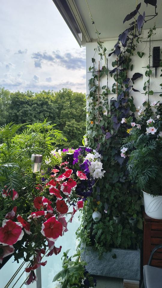 Thumbnail-Furnished Room, Munich Großhadern, U6