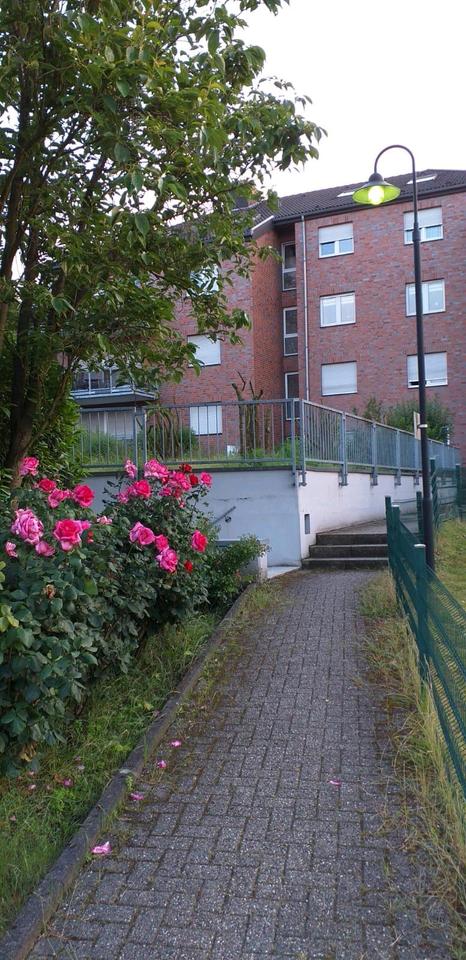 Thumbnail-☆☆☆ 3-Zimmer Wohnung in Güdderath zu verkaufen ☆☆☆