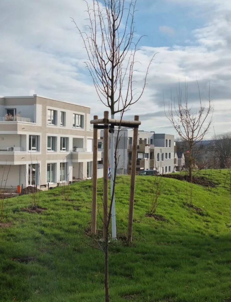 Thumbnail-3 Zimmer Erdgeschoss Wohnung mit Garten