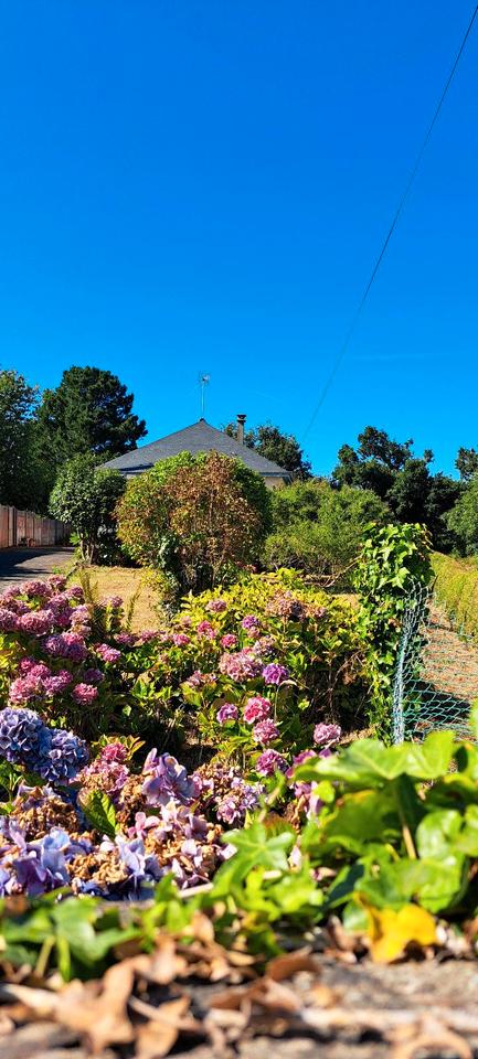 Thumbnail-Haus freistehend Nordküste Bretagne 5 min vom Meer entfernt