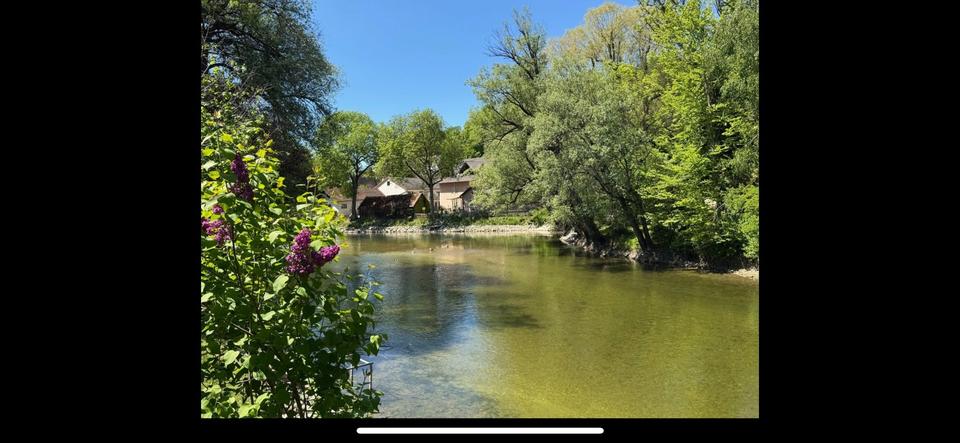 Thumbnail-WG Zimmer für 3 Monate in Grafrath