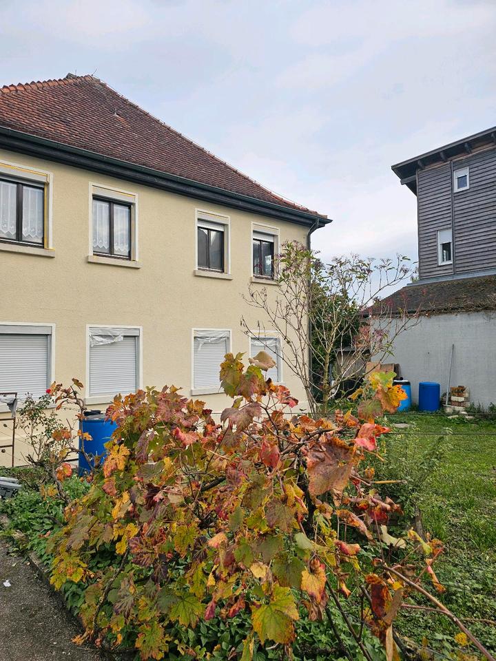 Thumbnail-3 Zimmer Whng in Ammerbuch-Entringen