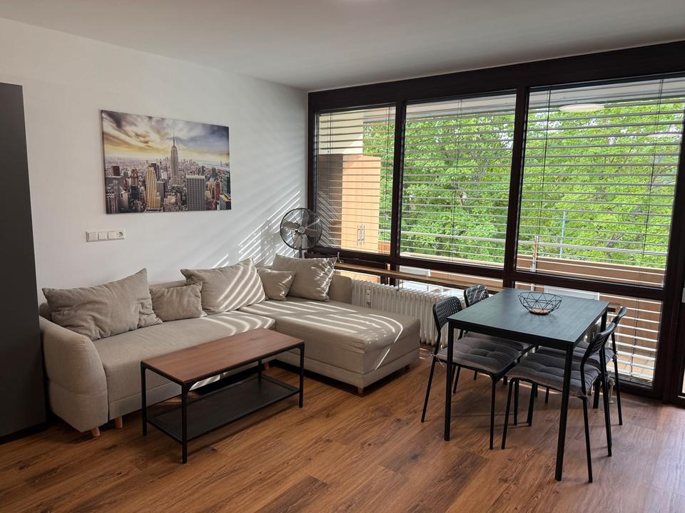 Thumbnail-Wohnung zu vermieten. 1 Zimmer. Vollmobiliert.