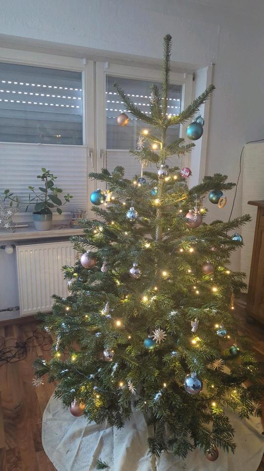 Thumbnail-Zwischenmiete für 1 Monat Bad Homburg 3 Zimmer Wohnung