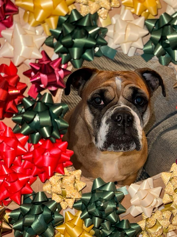 Thumbnail-WG Zimmer ab 01.02.2026 frei