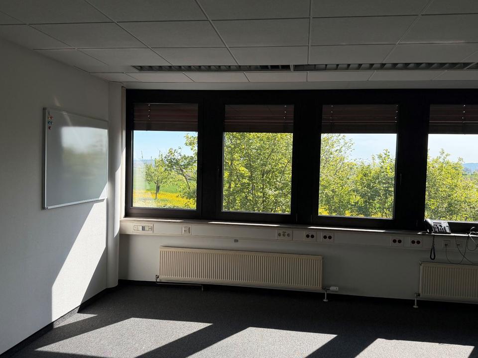 Thumbnail-moderner Büroraum mit Blick ins Grüne