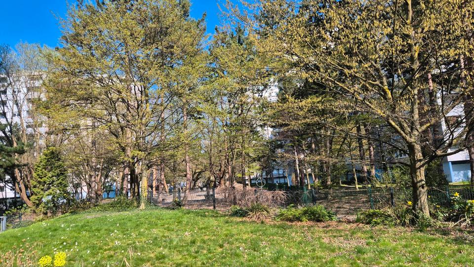 Thumbnail-Eigentumswohnung in Ludwigshafen-Pfingstweide zu verkaufen