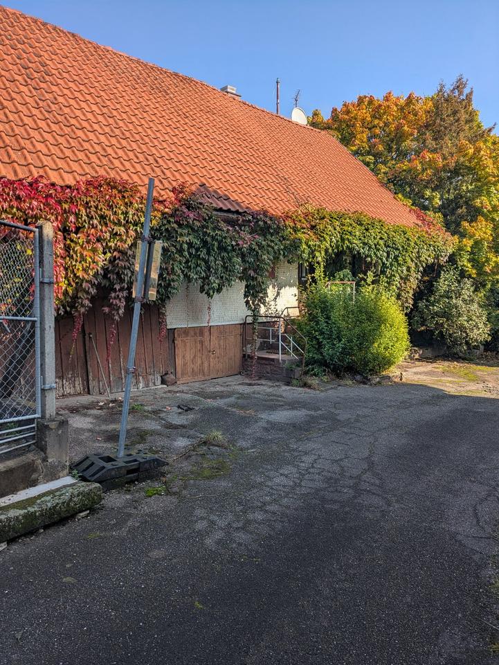 Thumbnail-Rustikales Haus in Engelsbrand