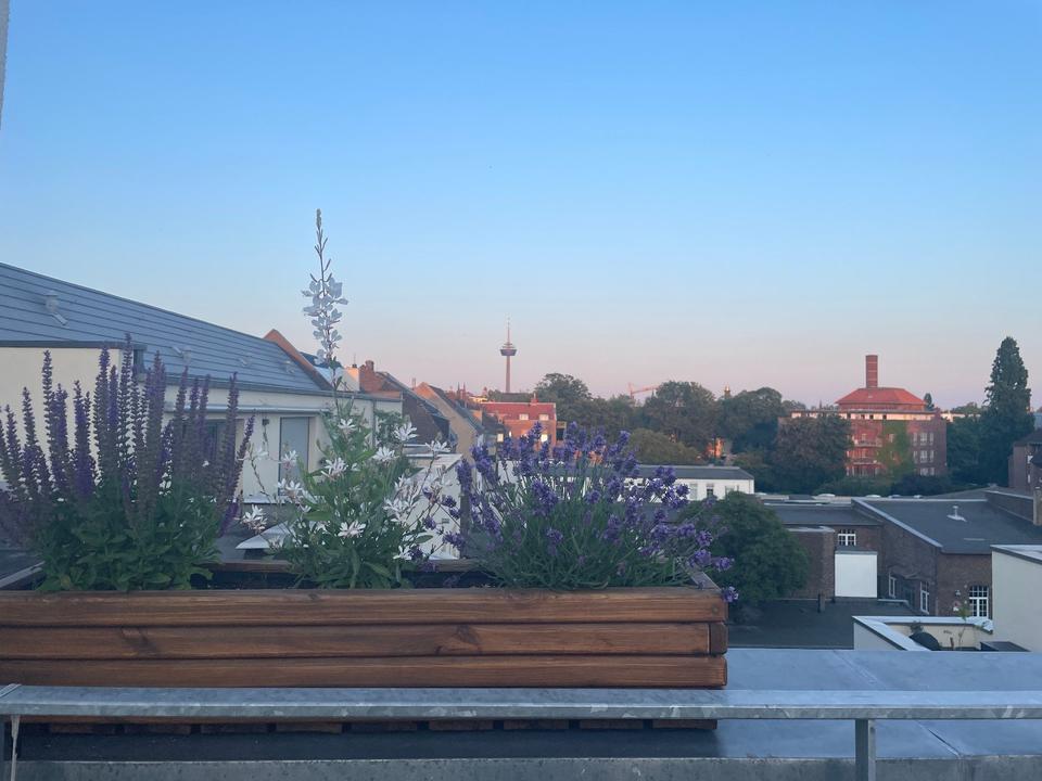 Thumbnail-Traum- Wohnung zur Zwischenmiete in Köln Ehrenfeld, 05.01.-07.03.