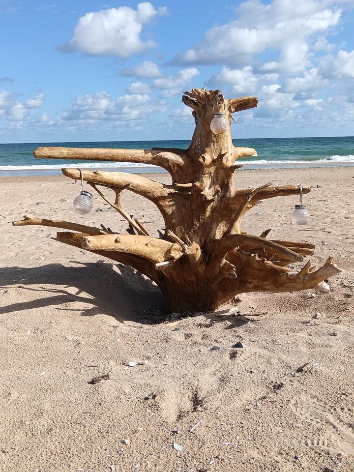 Thumbnail-Baugrundstück mit großem Potenzial – nur 12 km vom breiten Sand