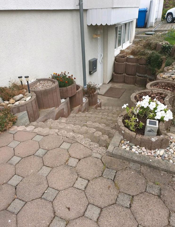 Thumbnail-vermiete eine einzimmer kellerwohnung