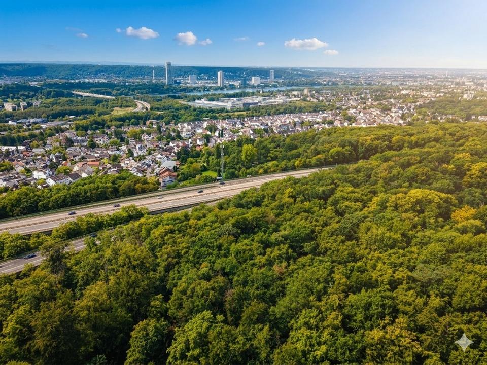 Thumbnail-Internetauktion - Vertragsfreie Waldfläche in Bonn-Ramersdorf *nahe des Dornhecksees*