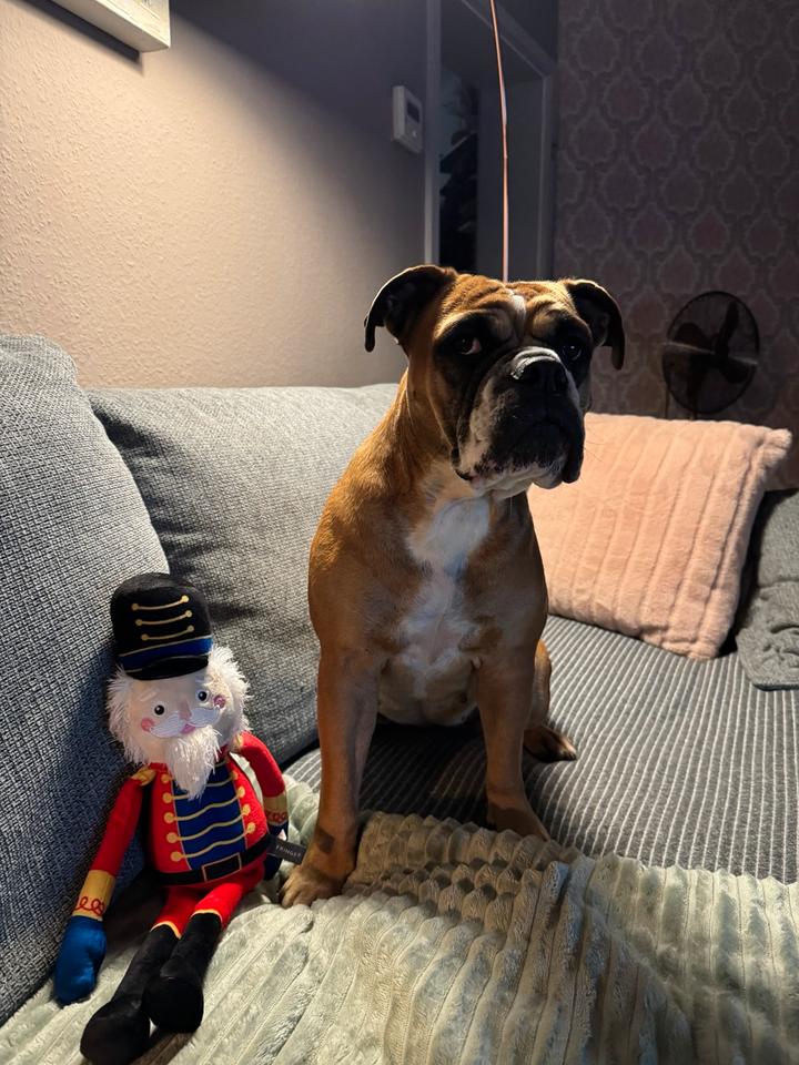 Thumbnail-WG Zimmer ab 01.02.2026 frei