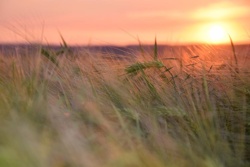 Thumbnail-3-Zimmer-Wohnung im Ortsteil Passow