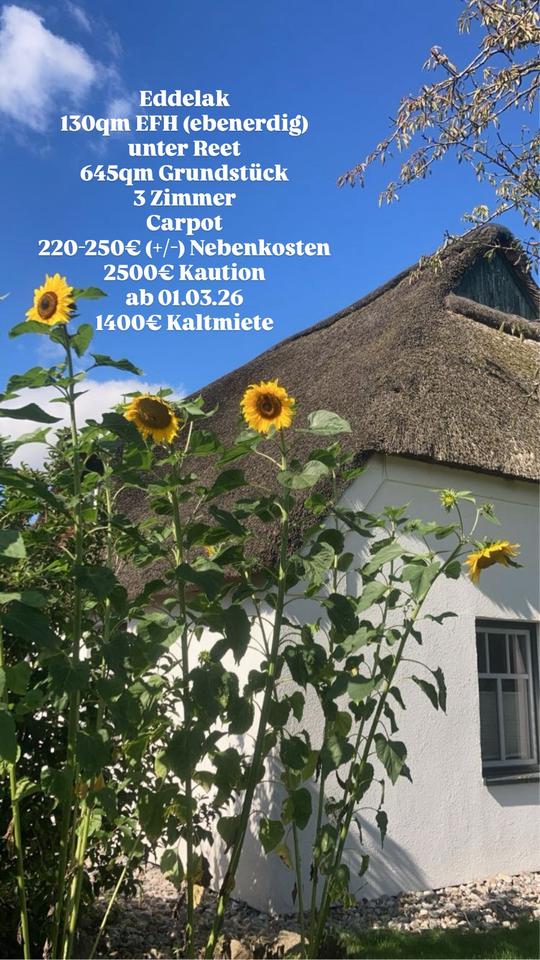 Thumbnail-Charmantes Reetdachhaus in Nordseenähe zu vermieten