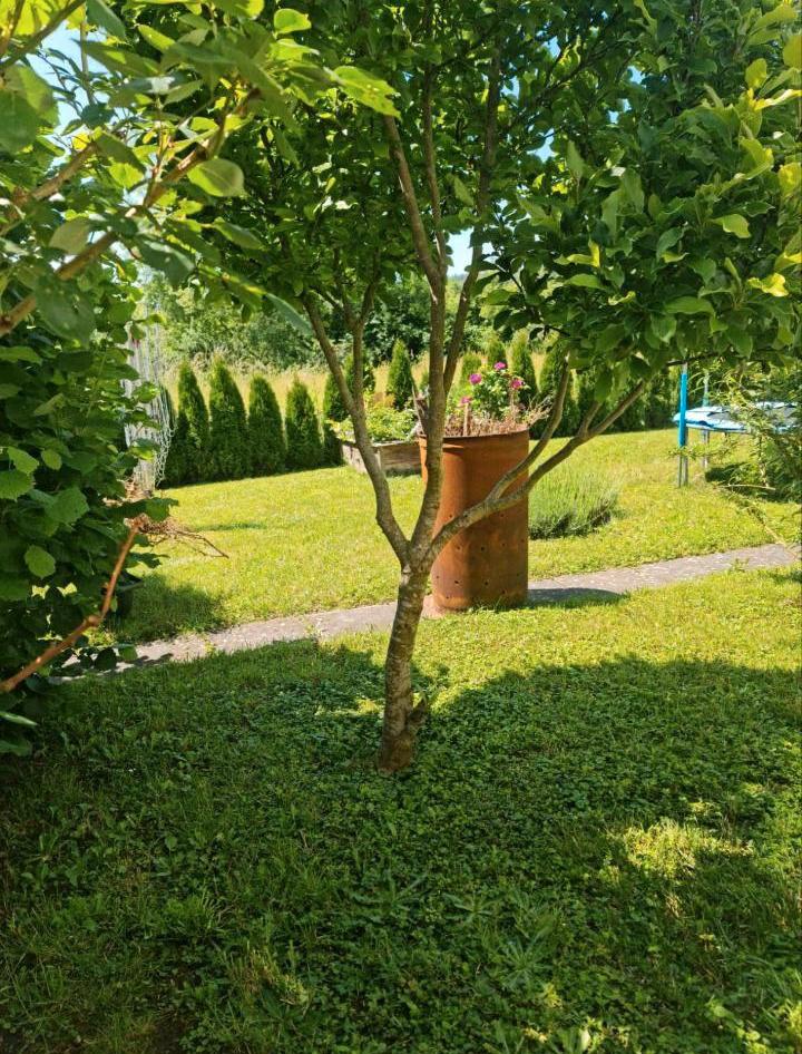 Thumbnail-KRASS REDUZIERT! 235 m² Wohnfläche zum Hammerpreis in 96181