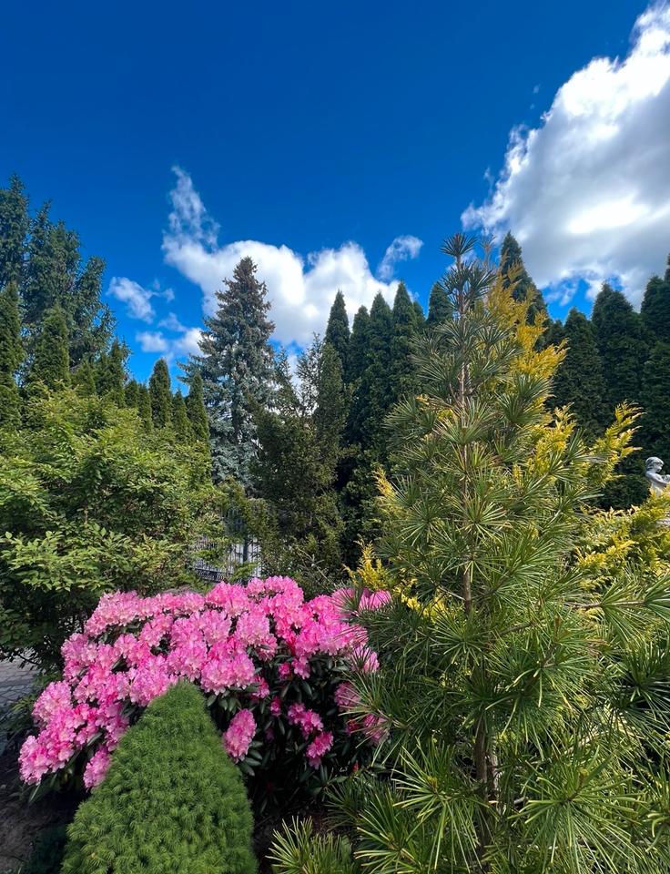 Thumbnail-Schönes Gartengrundstück mit 2 Häusschen in Hohen Neuendorf