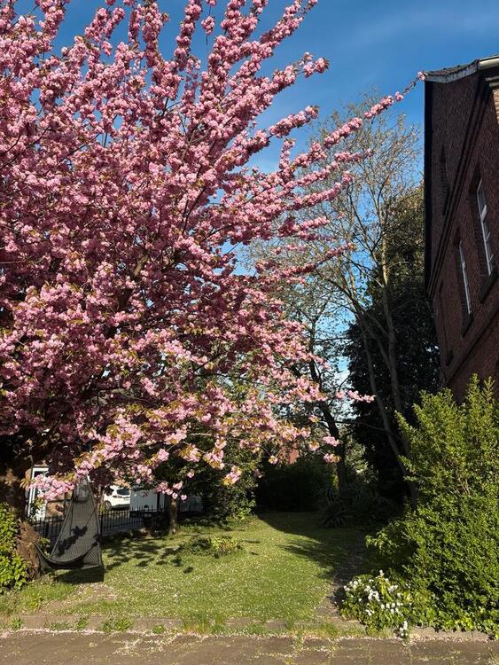 Thumbnail-Historisches Backsteinhaus mit Charme