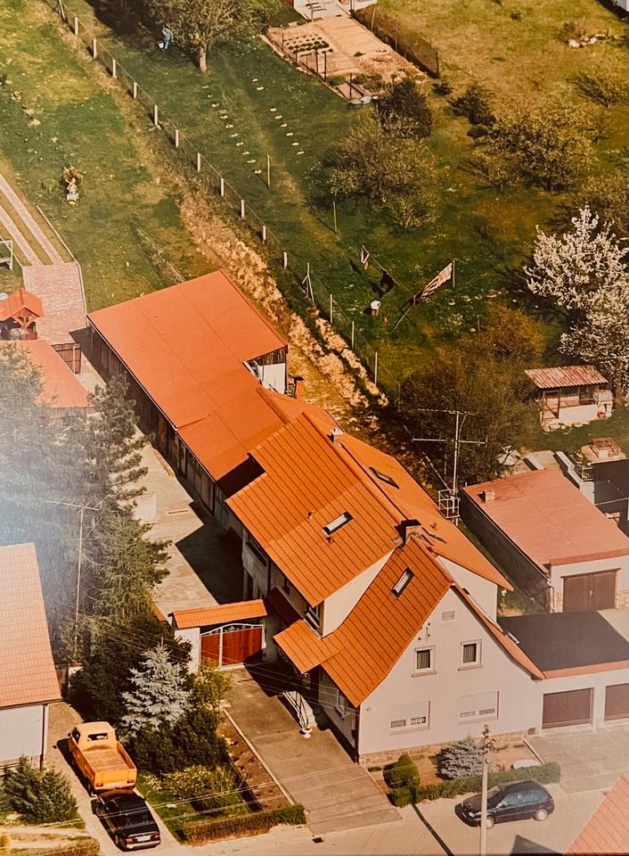 Thumbnail-Eigenheim mit großzügigem Garten in idyllischer Lage
