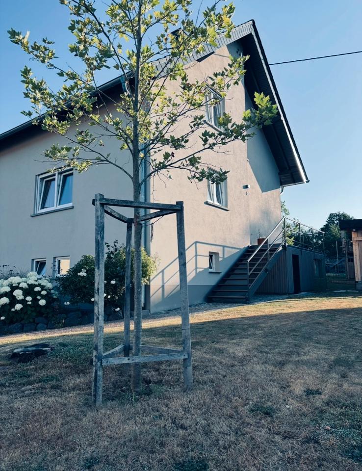 Thumbnail-Einfamilienhaus freistehend Hirstein