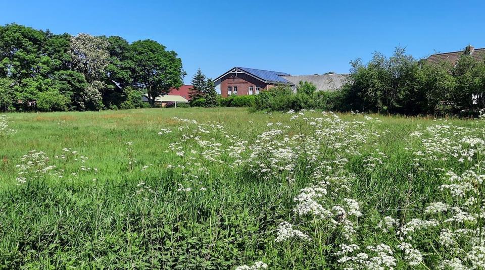 Thumbnail-Schöne großzügige Wohnung in Bordelum zu vermieten