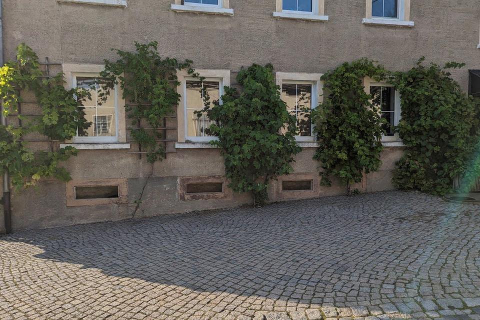 Thumbnail-Großzügige 2,5 - 3,5 Raum Wohnung in ruhiger Lage im Grünen