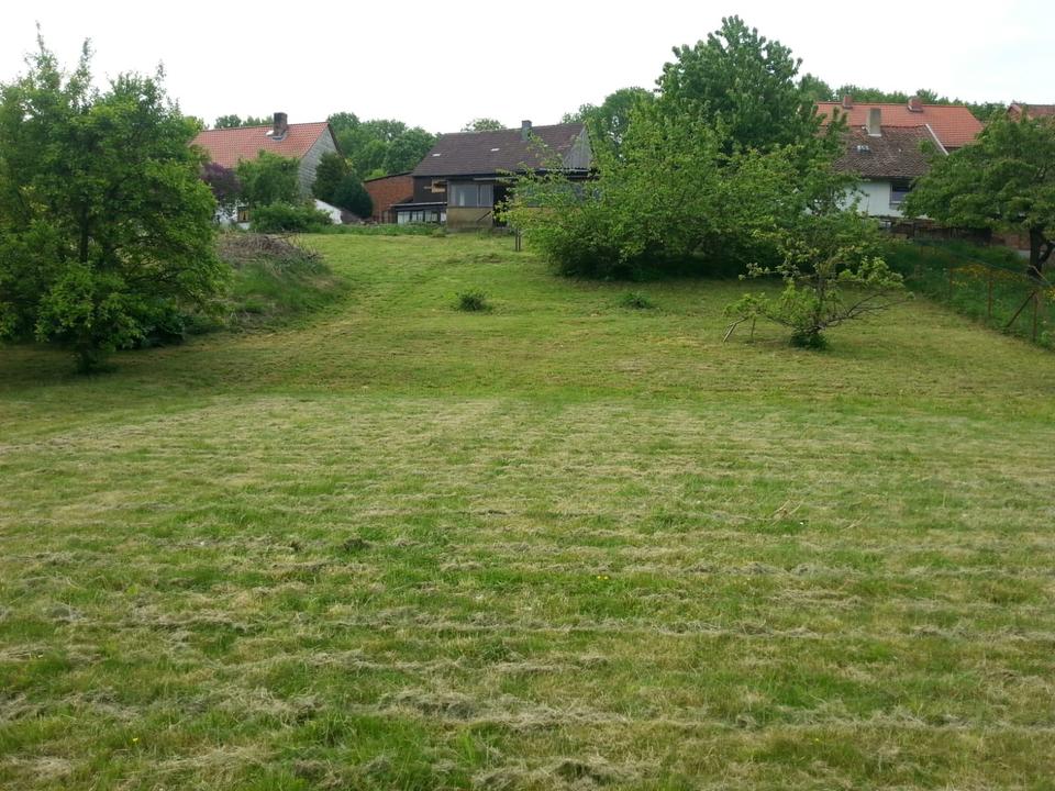 Thumbnail-Haus in der Harz in Sachsen Anhalt