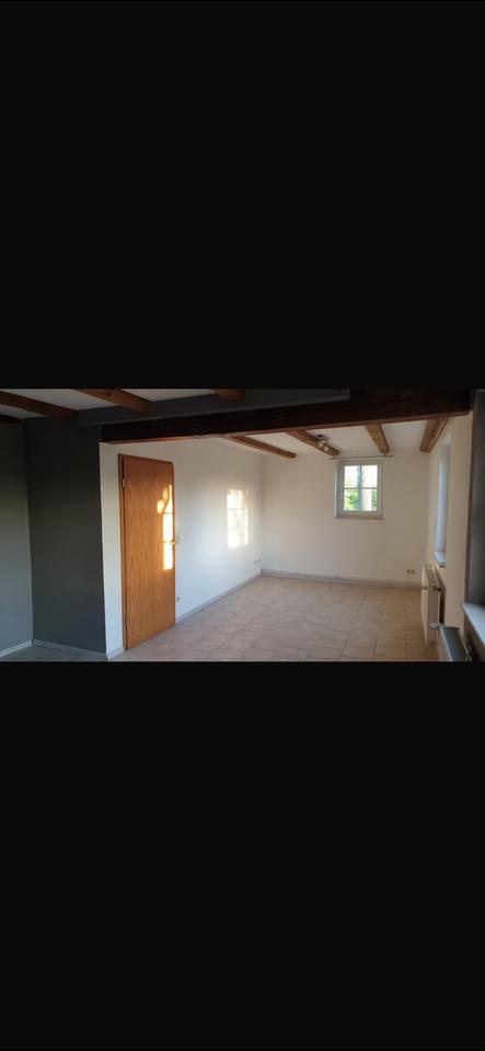 Thumbnail-Helle 3 Zimmer Wohnung im Erdgeschoss