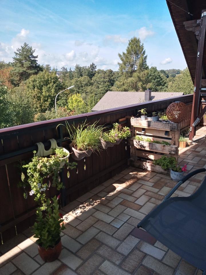 Thumbnail-Dachgeschosswohnung zu vermieten 1050 Euro warm