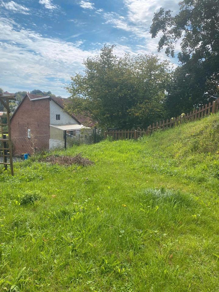 Thumbnail-2 Raumwohnung mit Garten Nutzung Warmiete 495€