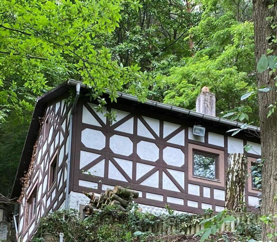 Thumbnail-Großes Waldhaus St. Martin (RLP) Pfälzer Wald mit Sauna + Kamin