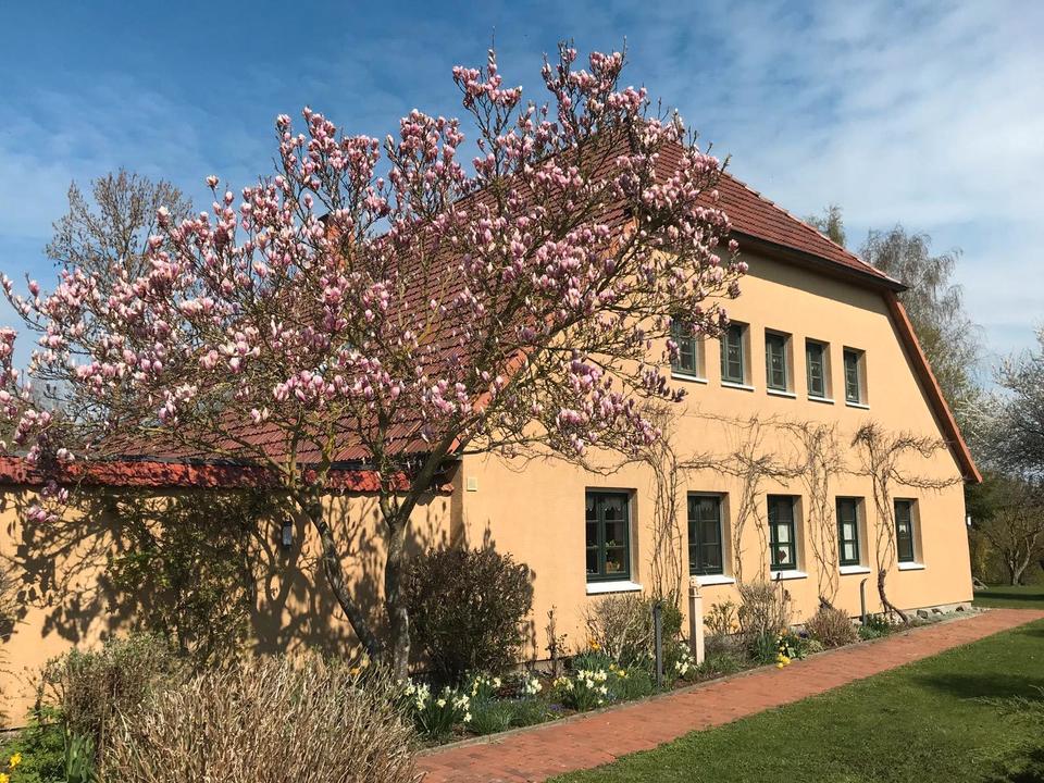 Thumbnail-Modern ausgebautes Bauernhaus mit großem Grundstück von Privat
