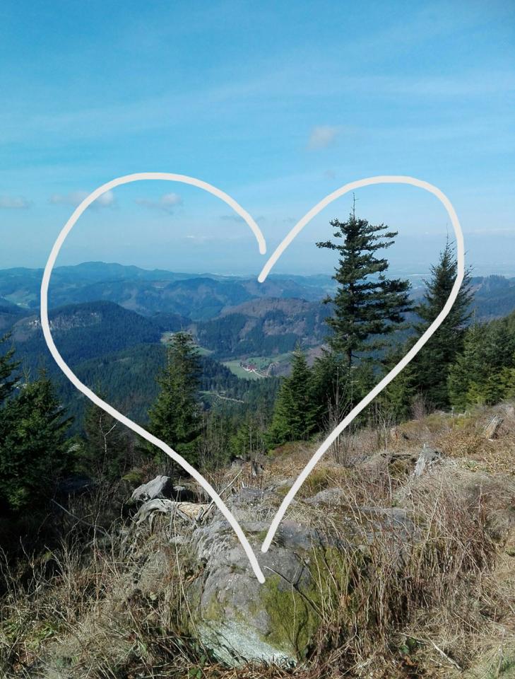 Thumbnail-Urlaub im Schwarzwald - Ferienwohnungen in traumhafter Lage