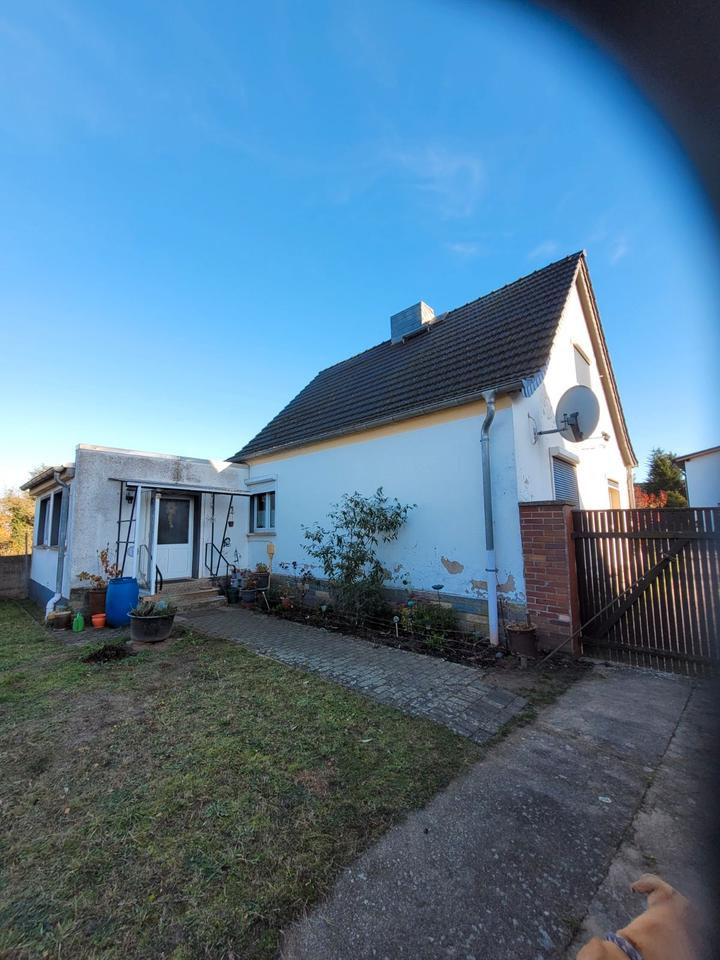 Thumbnail-Einfamilienhaus in Schwedt privat zu verkaufen