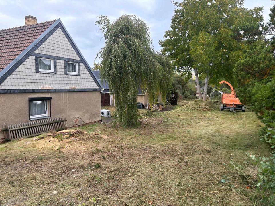 Thumbnail-Doppelhaushälfte Zwickau Vogelsiedlung