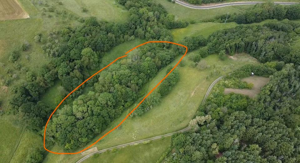 Thumbnail-Wald Waldgrundstück (Mischwald) - RehbornLettweiler