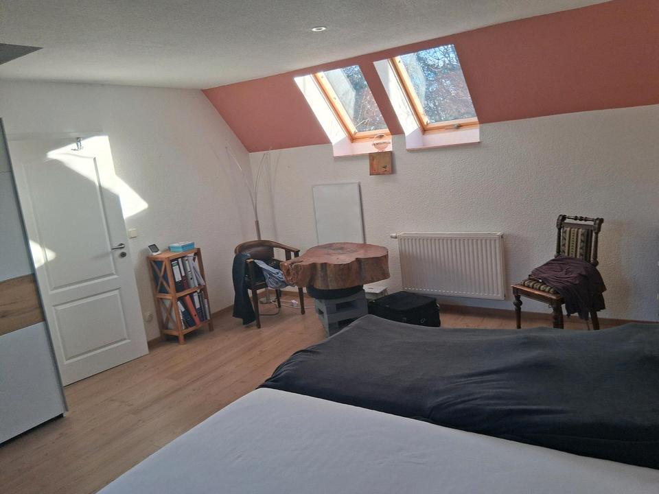 Thumbnail-Ein Mitbewohner, eine Mitbewohnerin für Dreiseitenhof im Land ge