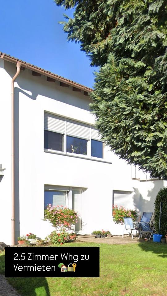 Thumbnail-2.5 Zimmerwhg Mietwohnung Wohnung in Laufenburg Ortsteil Binzgen