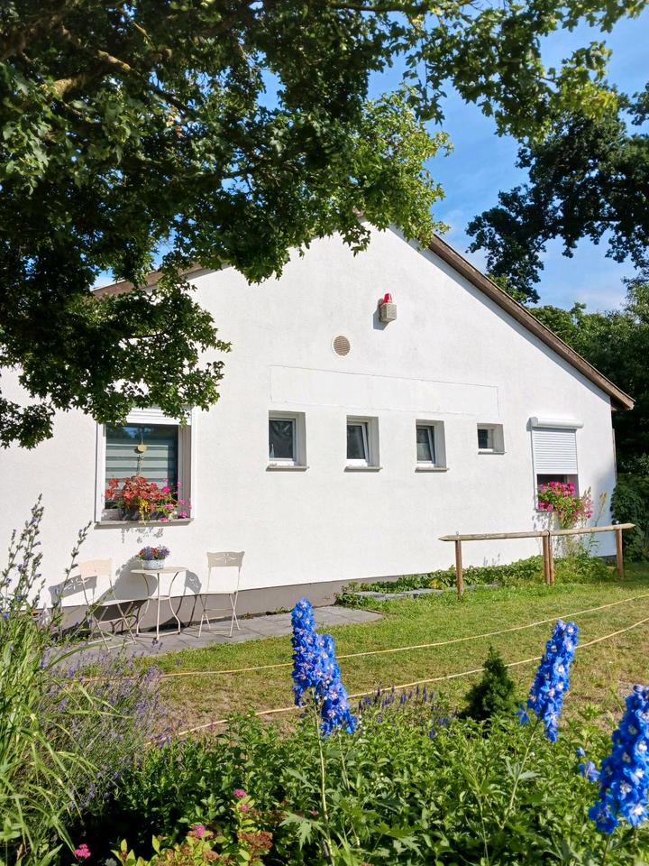 Thumbnail-Wohnen an der Mecklenburgischen Seenplatte PROVISIONSFREI