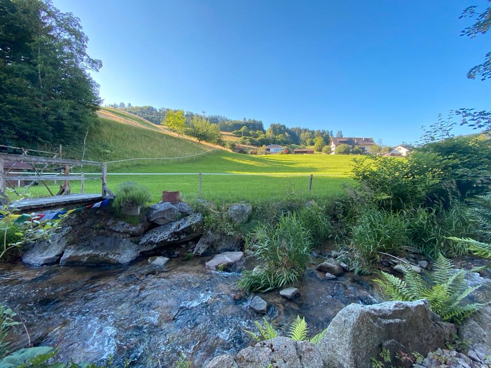 Thumbnail-Ein- bis Zweifamilienhaus