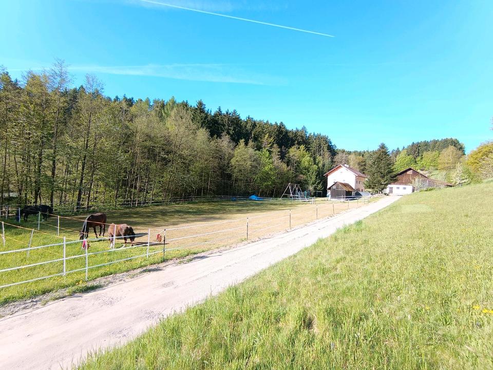 Thumbnail-Hofstelle für Pferdehaltung in Hunderdorf - Provisionsfrei!!!