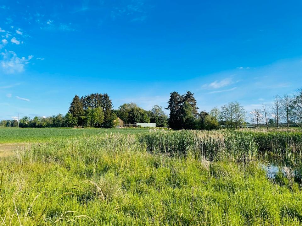 Thumbnail-Haus mit Grundstück in mitten Natur, nähe Bodensee am Weiher